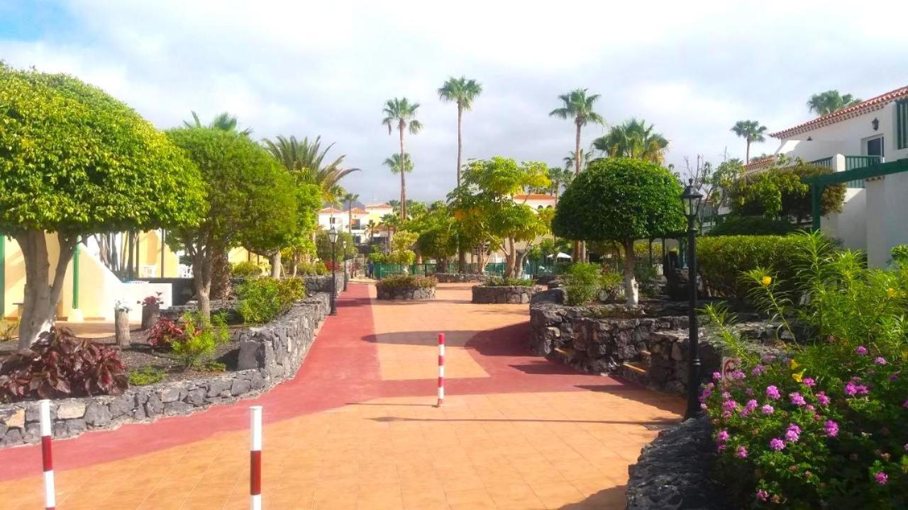 Tenerifehause Σαν Μιγκέλ ντε Αμπόνα Εξωτερικό φωτογραφία
